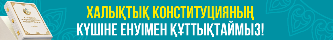 Конституция