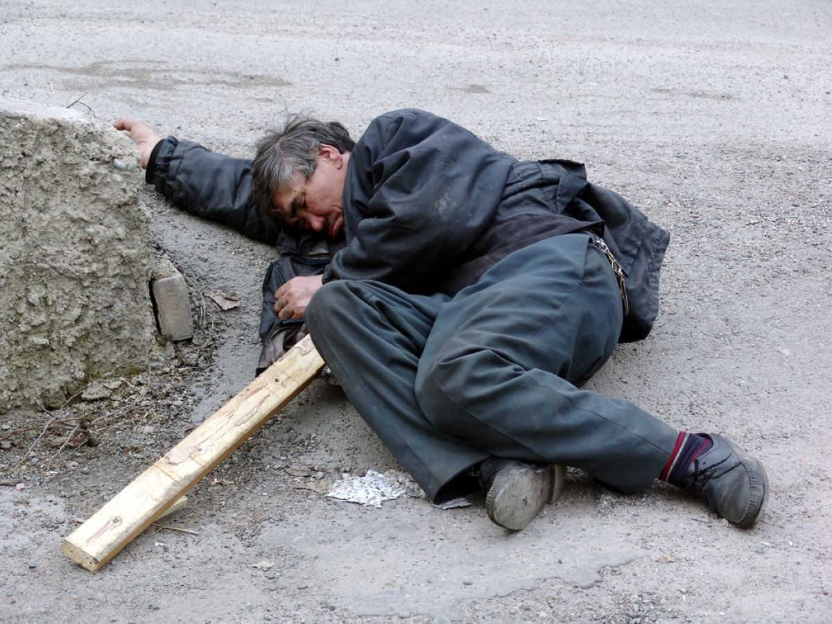 Қаңғыбас жандар да жылу іздейді