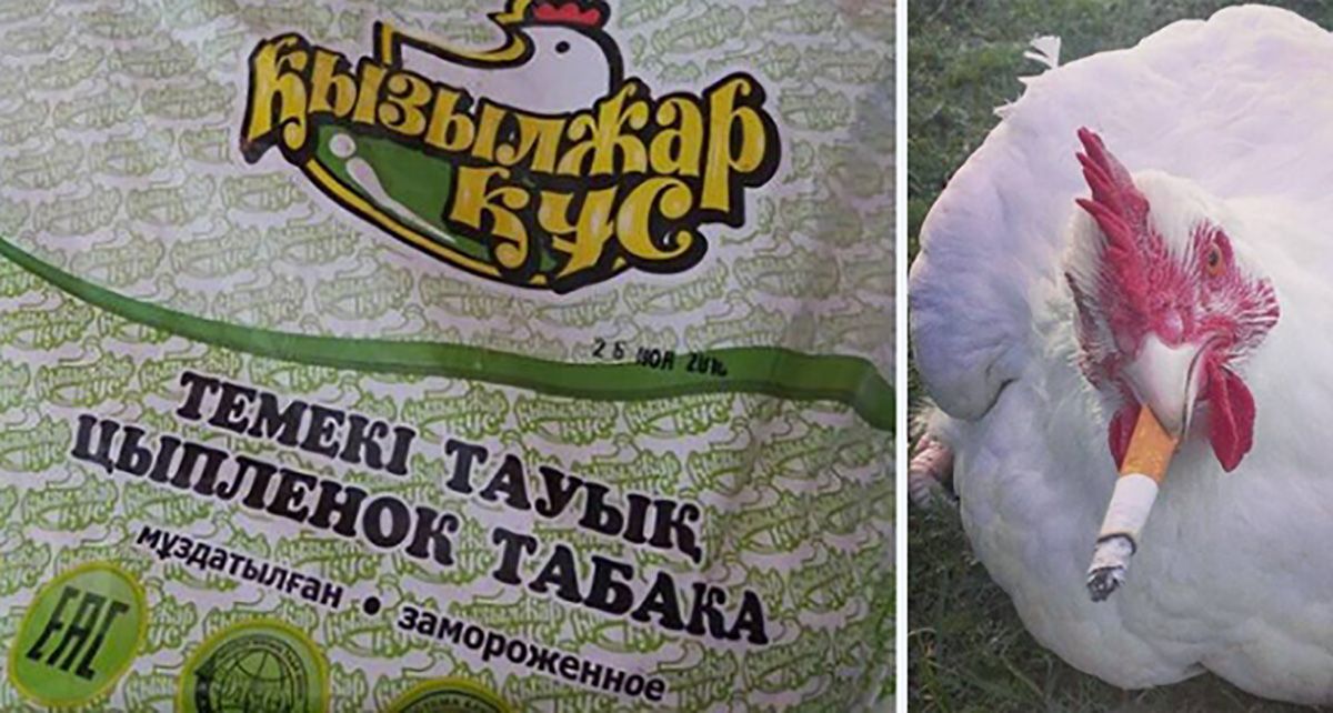 «Темекі тауық» жеп көрдіңіз бе?