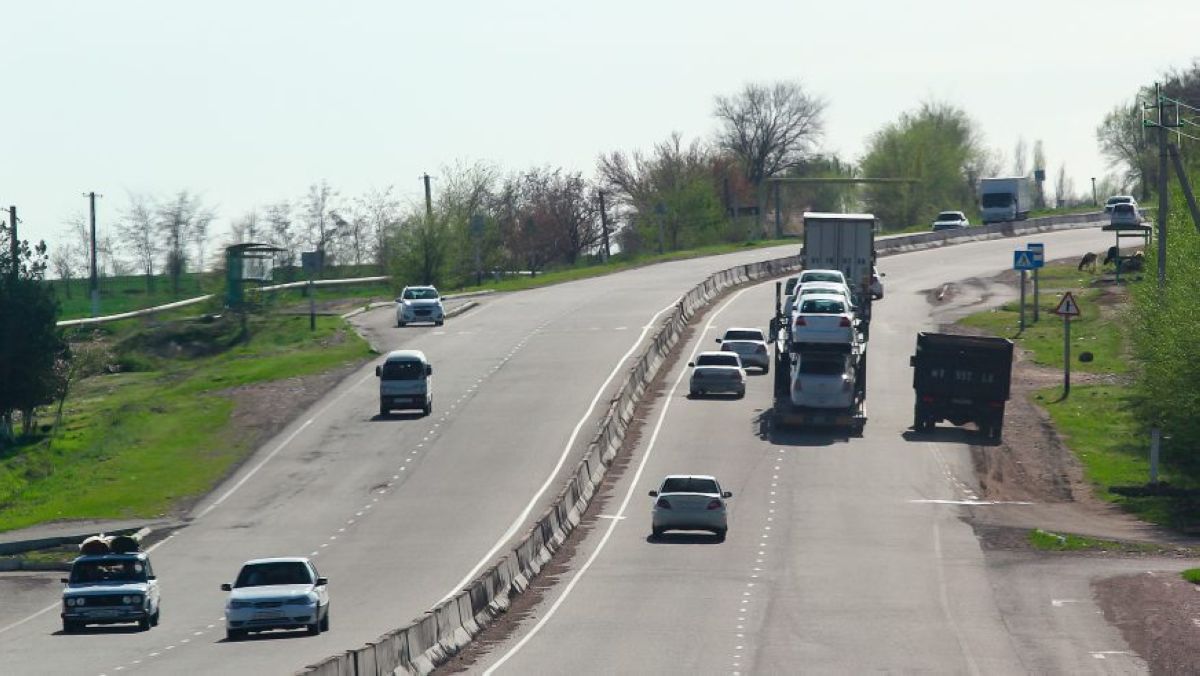 Елде шетелдік жүгі бар көлік құралдарын бақылау жүйесі құрылады