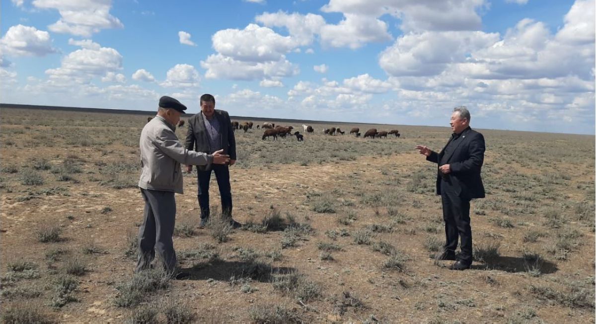 Жайылымдық жерлерді тексерді