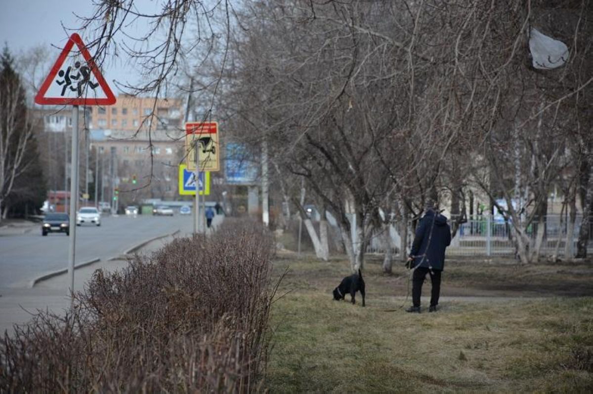 Петропавлда итін жоғары қабаттан лақтырып өлтірген әйелге айыппұл салынды