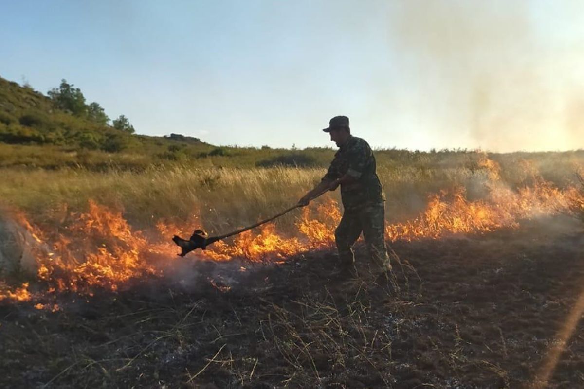 Жамбыл облысындағы дала өрті 6 күннен кейін сөндірілді