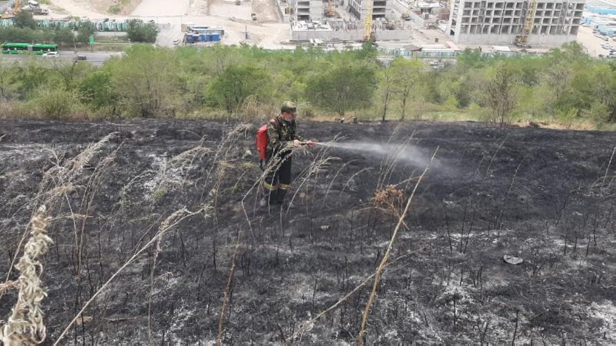 Алматыда 1,5 гектарға жайылған өрт сөндірілді