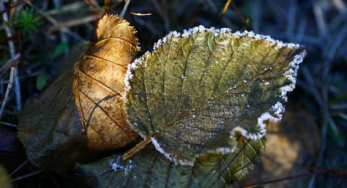 Қазақстанның бірқатар өңірінде ескерту жарияланды