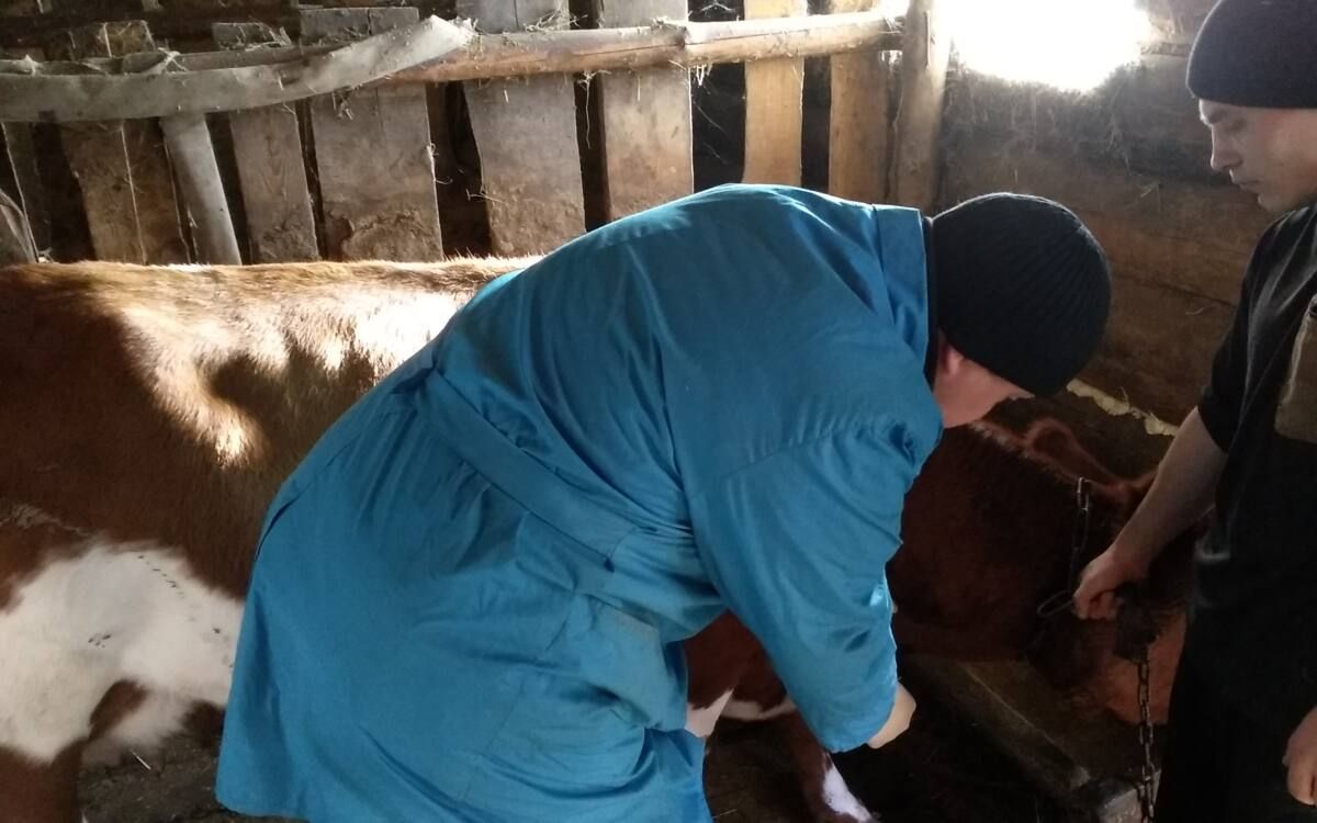 Шымкентте қауіпті індет анықталған соң, дәрігерлер 20 адамды бақылауға алды