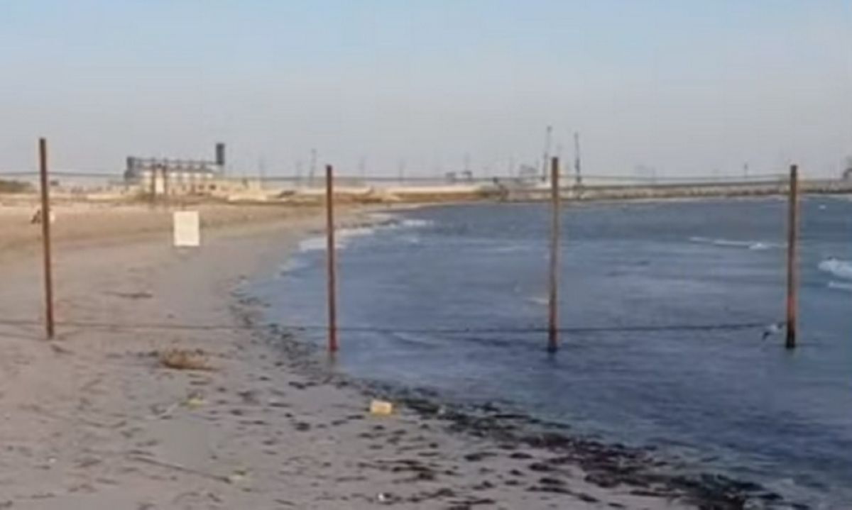 «Тексеруге хақымыз жоқ» – Ақтау әкімдігі «Достар» жағажайы туралы мәлімдеме жасады