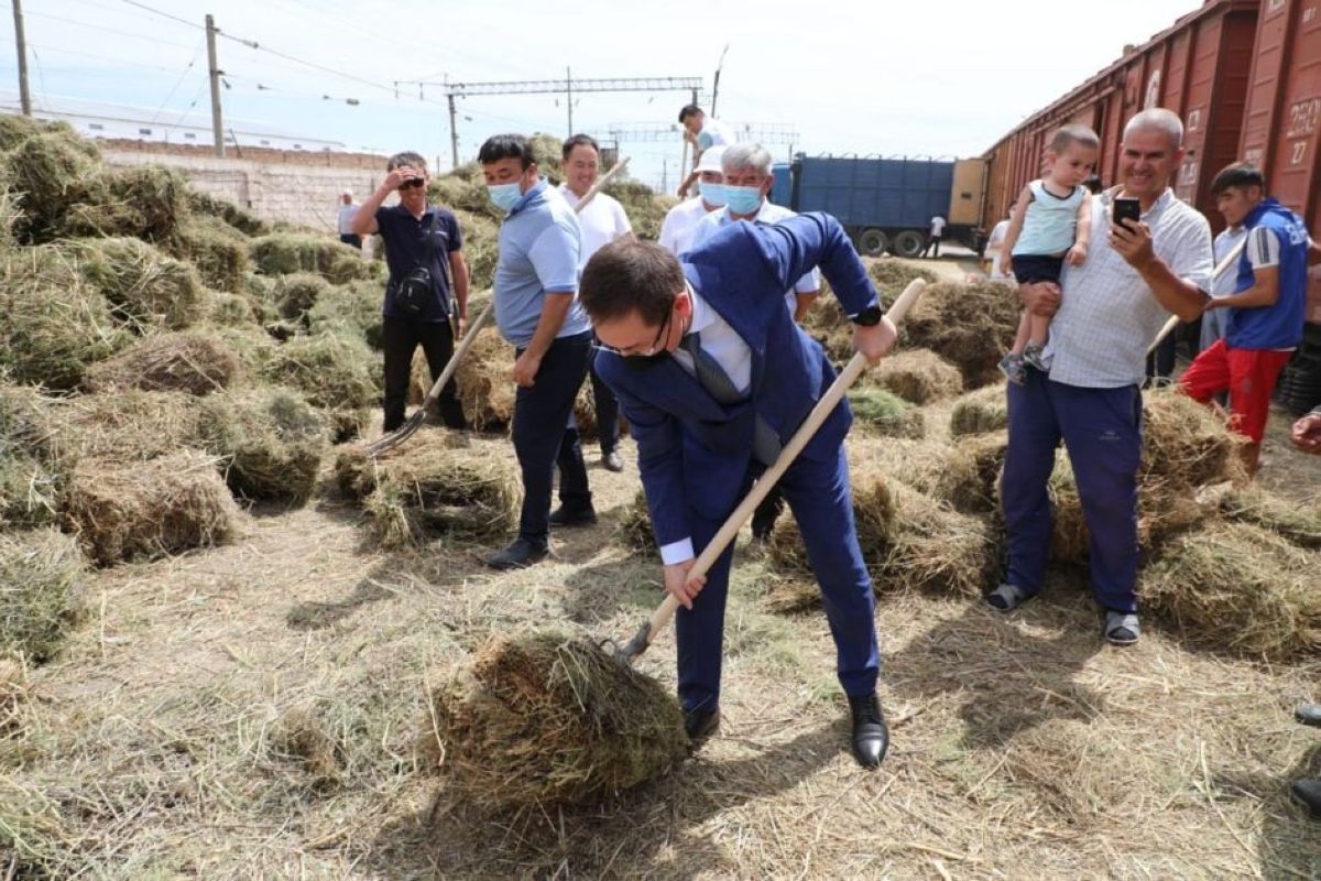 Түркістан облысынан Маңғыстауға 1000 тоннаға жуық жемшөп жөнелтілді