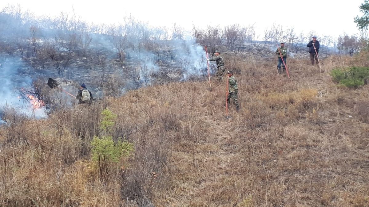 Алматы облысы Қора шатқалындағы өрттің аумағын дронмен анықтайды