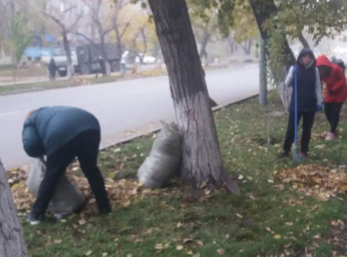 «Семейде мұғалімдер сабақты тастап, сенбілікке шыққан»: қалалық Білім бөлімі түсініктеме берді