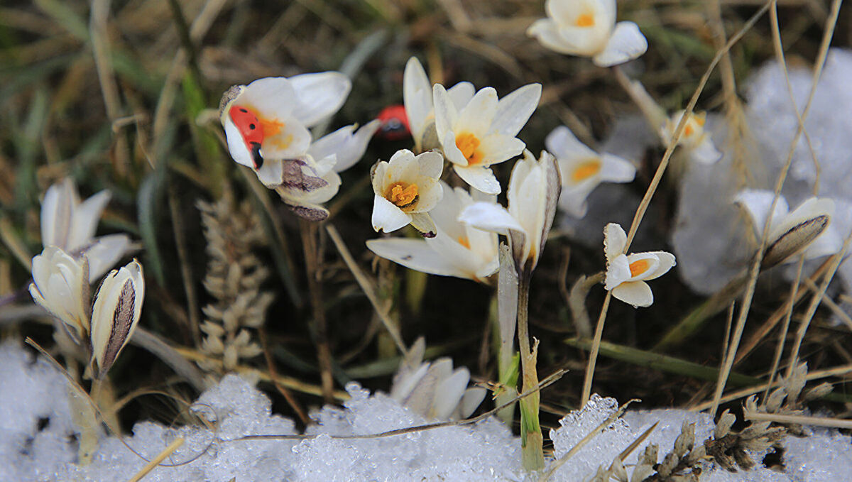 Сәуірдің бірінші күніне арналған ауа райы болжамы