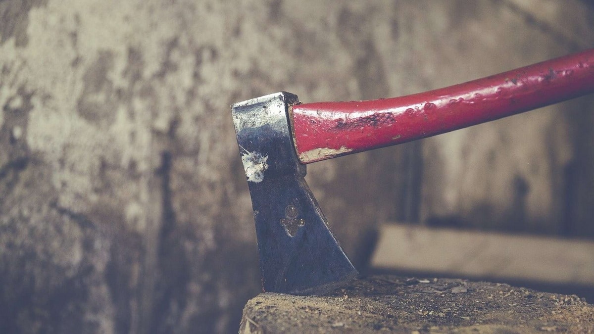 Ақмола облысында қызметкер фирма директорын балталап өлтірді