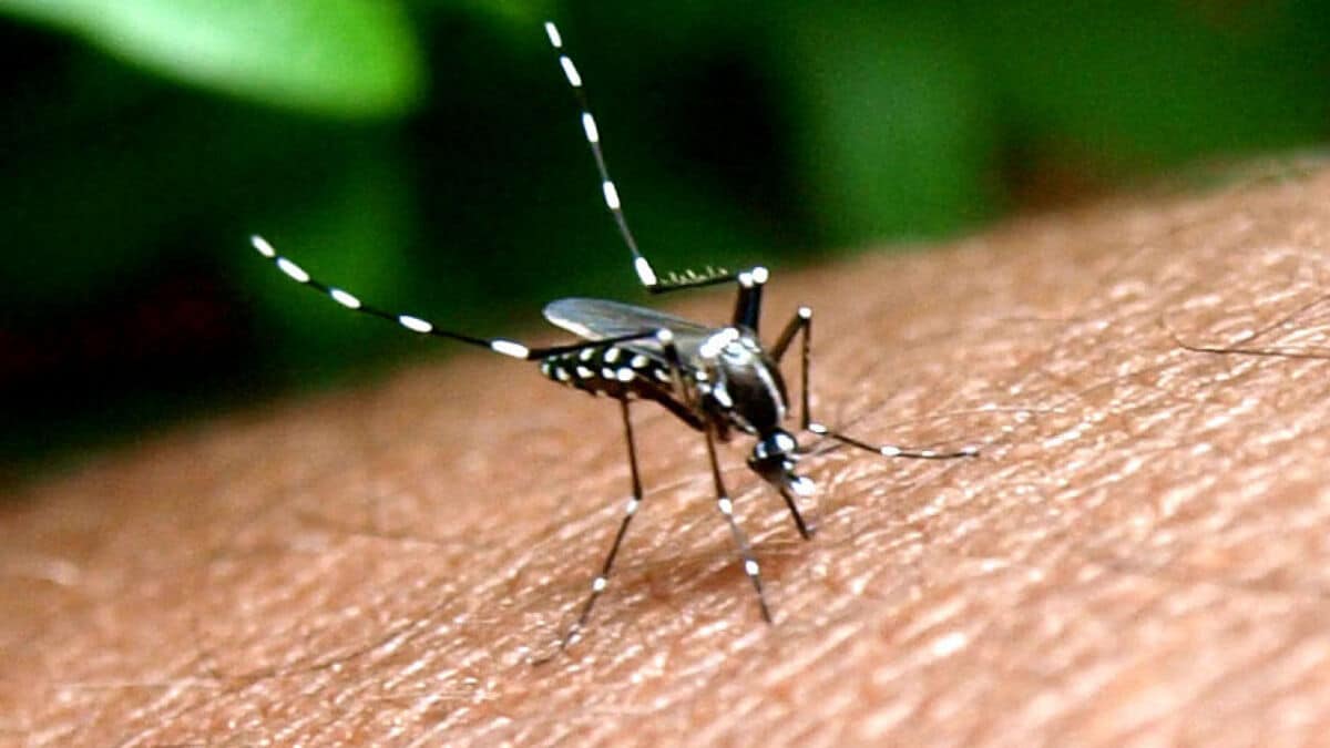 Желіде Билл Гейтс масаны пайдаланып, биологиялық қару жасағаны туралы ақпарат тарады