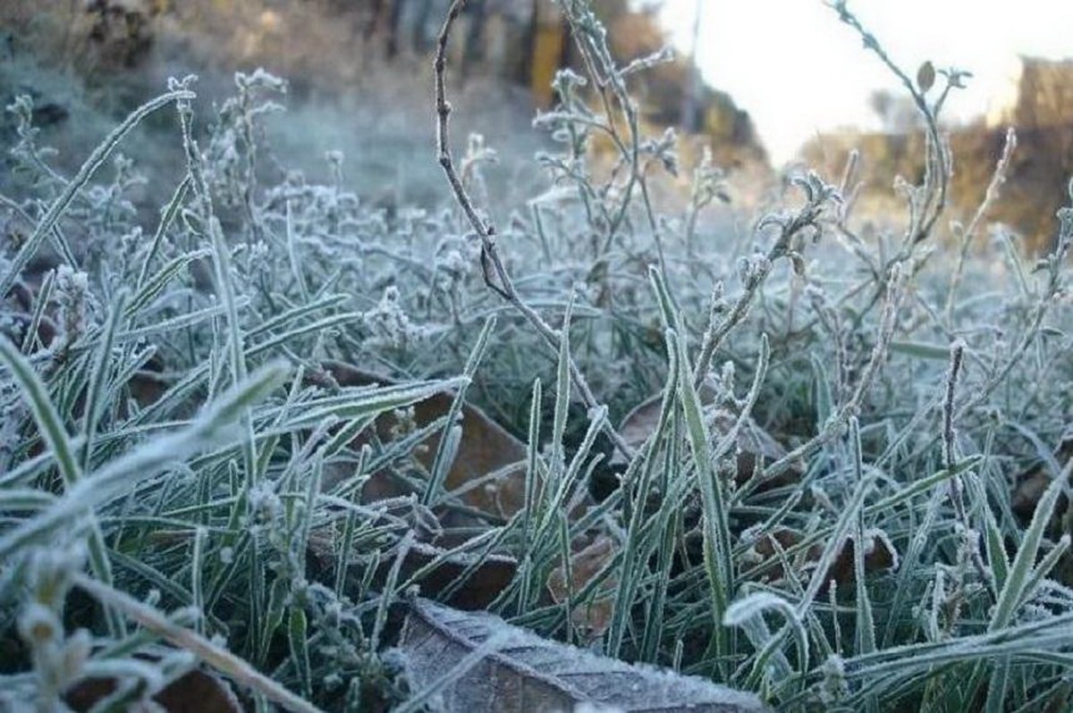 13 өңірде күн суытып, үсік жүреді