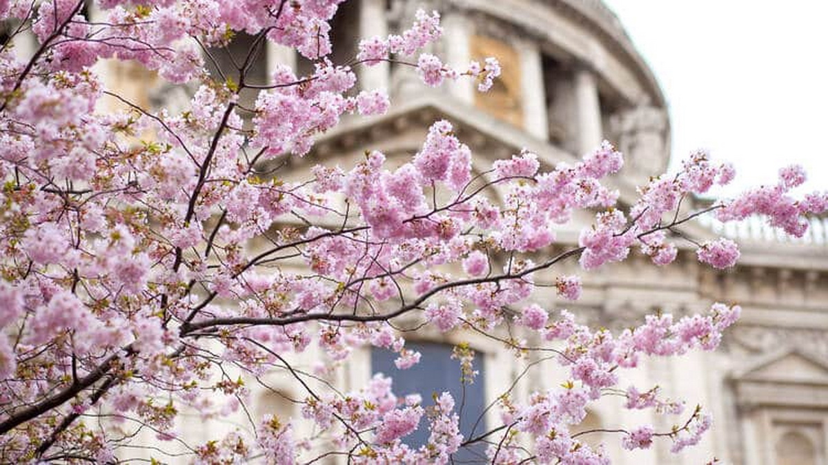 Демалыс және мереке күндері ауа райы қандай болады?