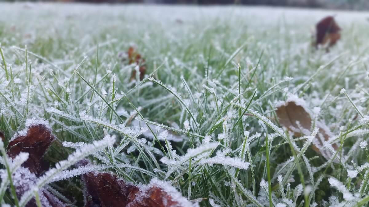 2 градус үсік жүреді: бірнеше өңірде дауылды ескерту жарияланды