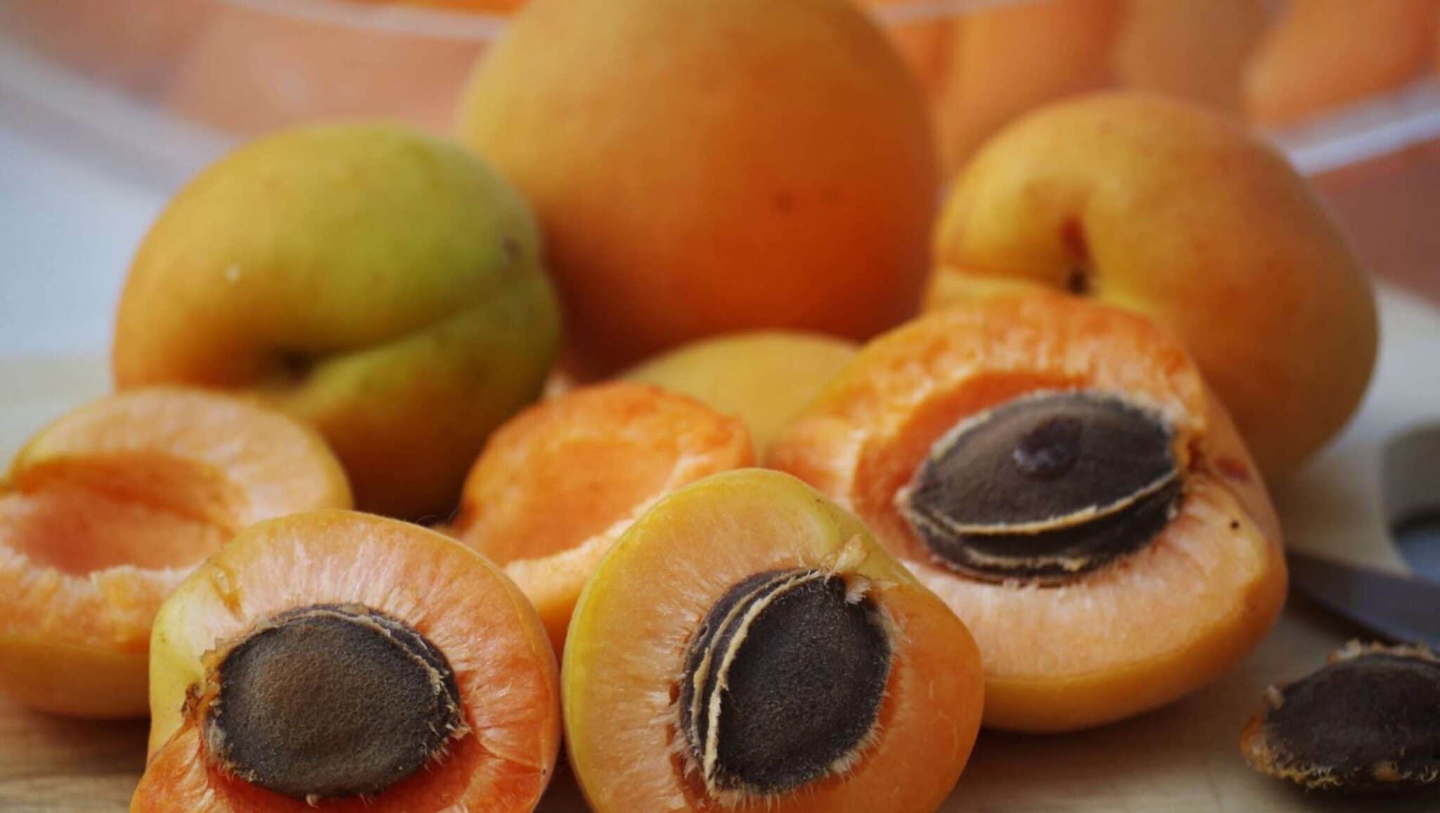 Дәрігер кімге өрік жеуге болмайтынын айтты