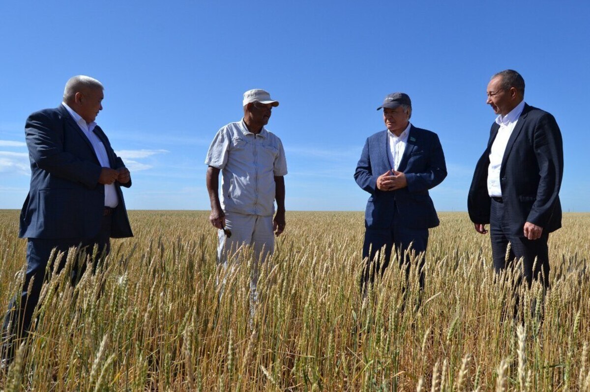 Өзекті мәселелер сенаторлар назарында