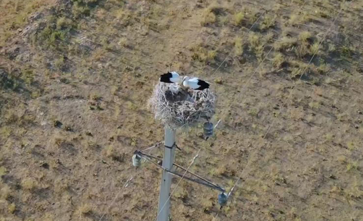 Бағана басындағы 