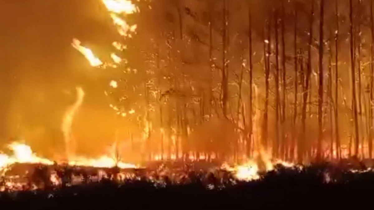 Қостанай облысындағы өртке қатысы бар алғашқы күдікті қамауға алынды