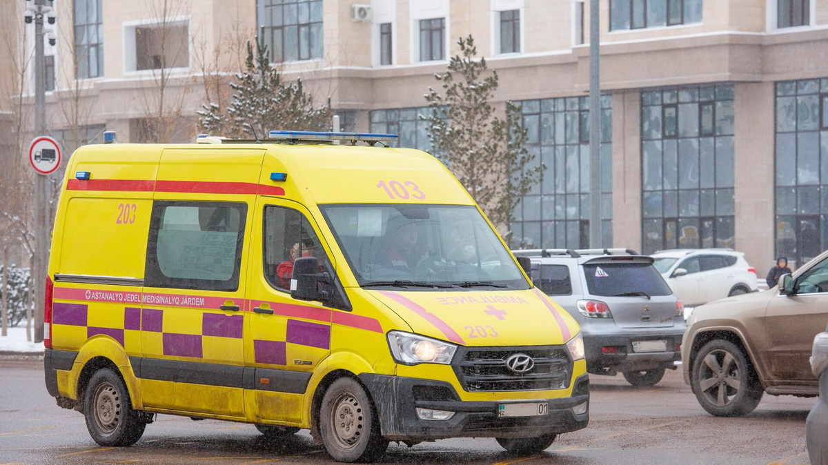 Қостанай облысында 6 жасар егіздер ауруханадан шыққаннан кейін көз жұмды