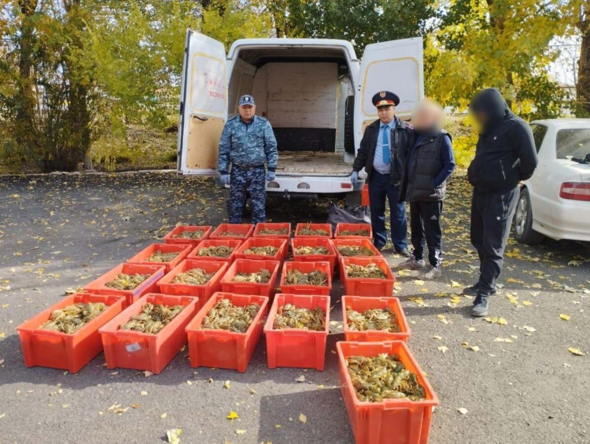 Шығыс Қазақстанда 360 келіден астам тірі шаянды тасымалдаған тұрғын ұсталды