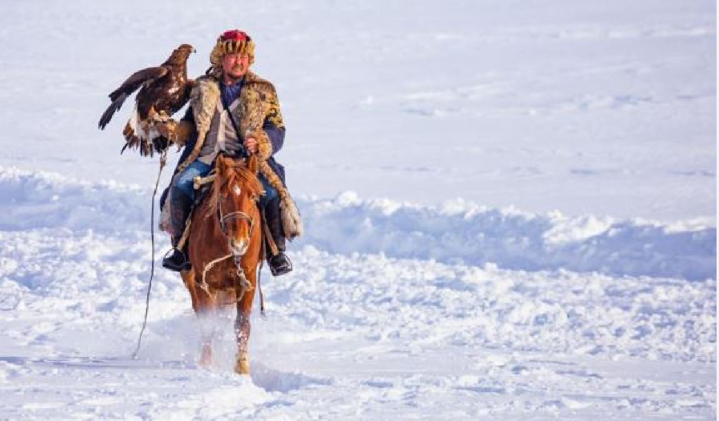 Бүркітшілер бәсі