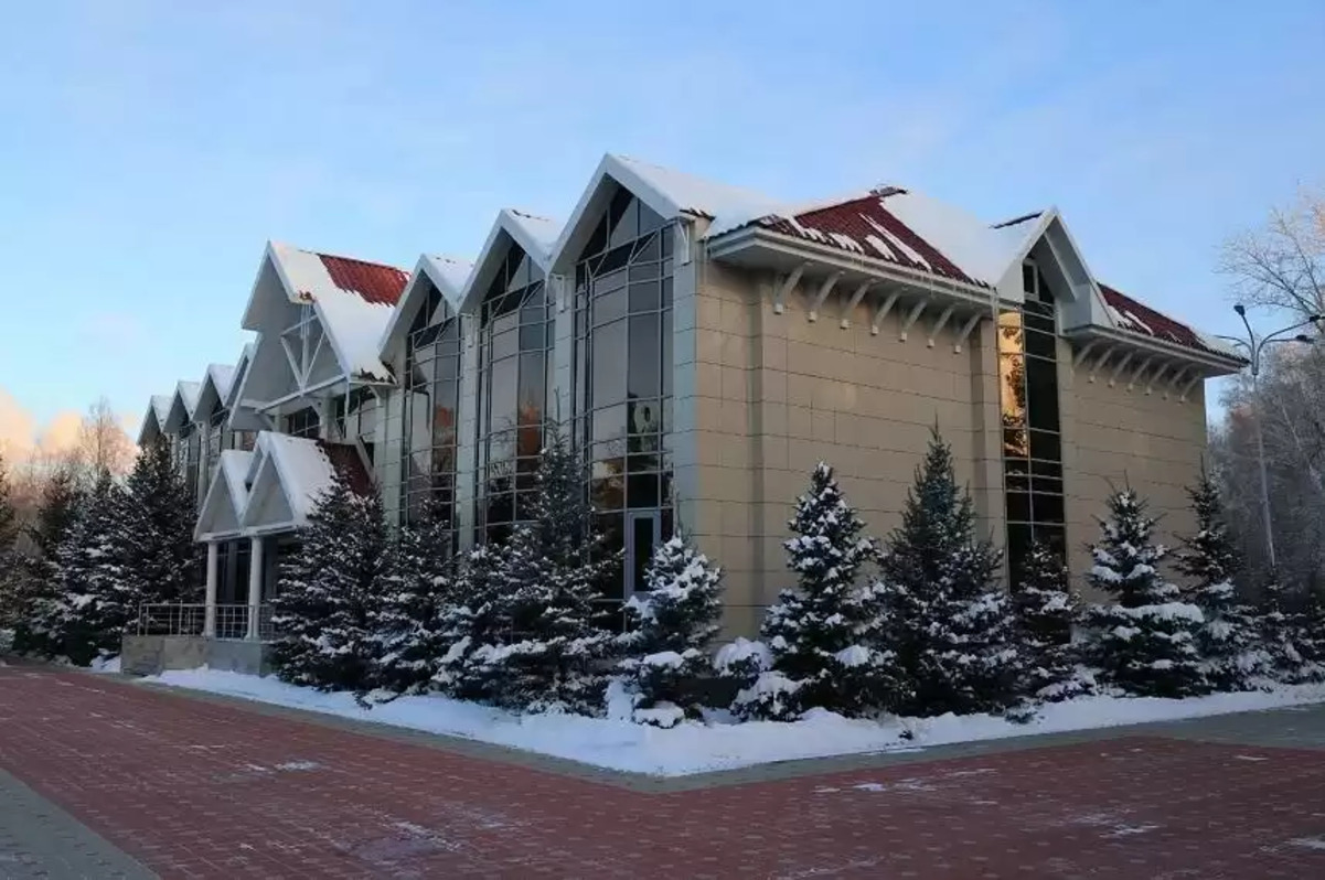 Қостанайдағы Президент резиденциясы балаларды емдеу орталығы болады