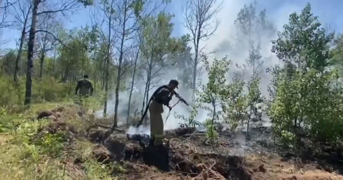 Абай облысында орман өртін сөндіру жұмыстары үш бағытта жүргізіліп жатыр