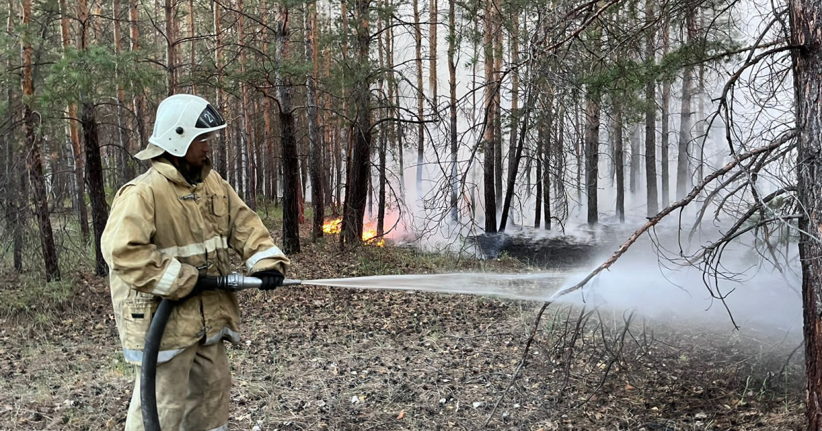 Абай облысында өртті үш бағытта сөндіріп жатыр