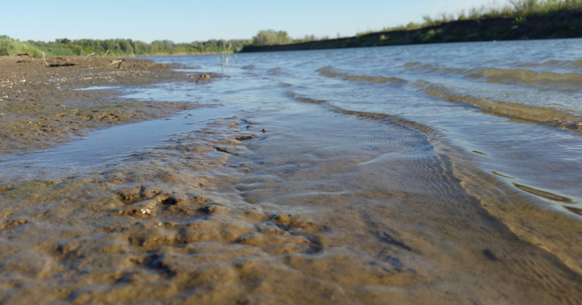 Ойыл өзенінде балық қырылып жатыр