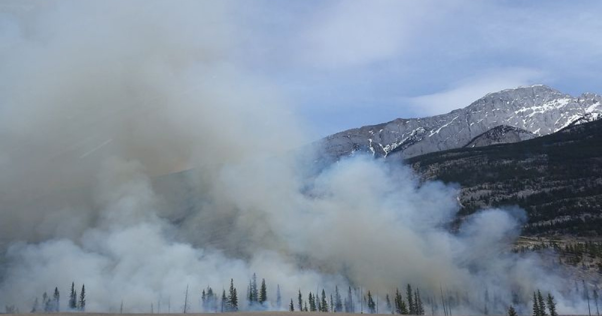 ШҚО-да орман шаруашылығы аумағынан тағы өрт шықты