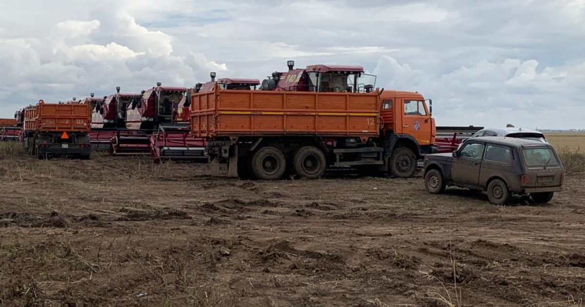 Жерсіз қалған ауылдар араша іздейді