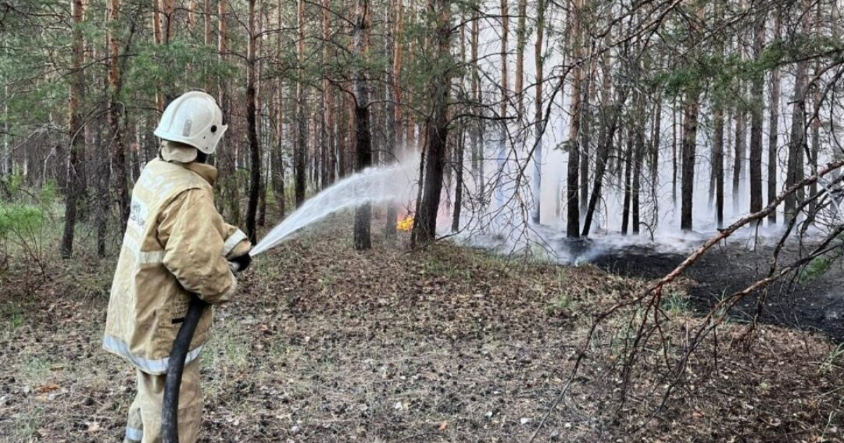 Бас прокуратура Абай облысындағы алапат өртке қатысты істі сотқа жіберді