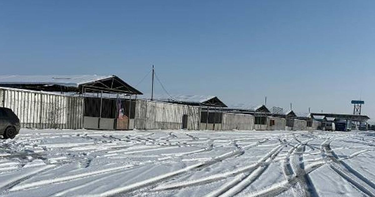 «34 гектар»: Болат Назарбаевқа тиесілі Қордайдағы базардың жері мемлекетке қайтарылды