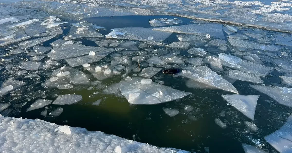 Ақтөбе облысында жеңіл көлік көлге батып кетті