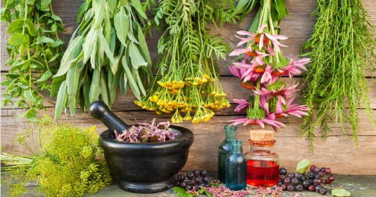 Малға – дәрмен, жанға – дәру