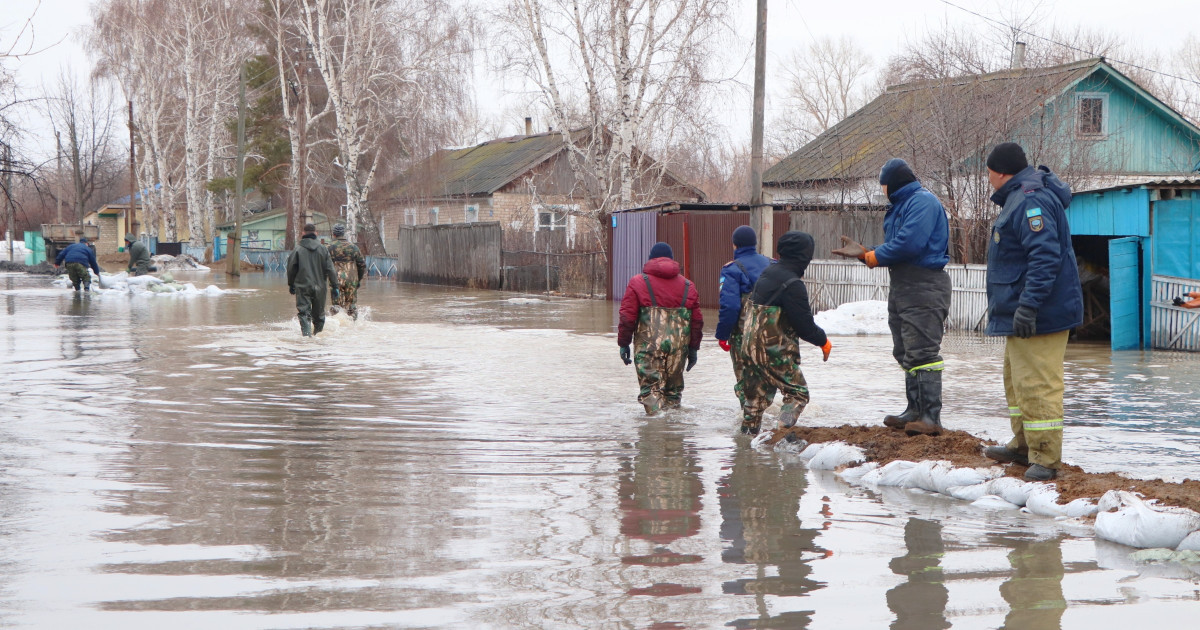 Солтүстік Қазақстан облысы Покровка ауылында 20-дан астам үй су астында қалды