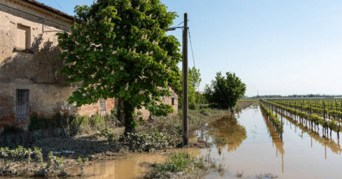 Жамбыл облысының әкімдігі мәлімдеме жасады