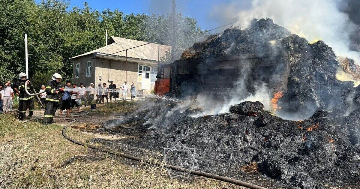 Түркістан облысында шөп тиелген көлік жалынға оранды