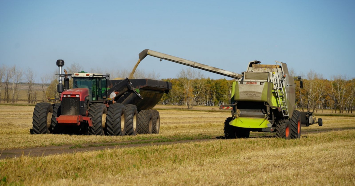 Ақмоладағы ірі ауыл шаруашылығы кәсіпорындарының біріне қауіп төніп тұр