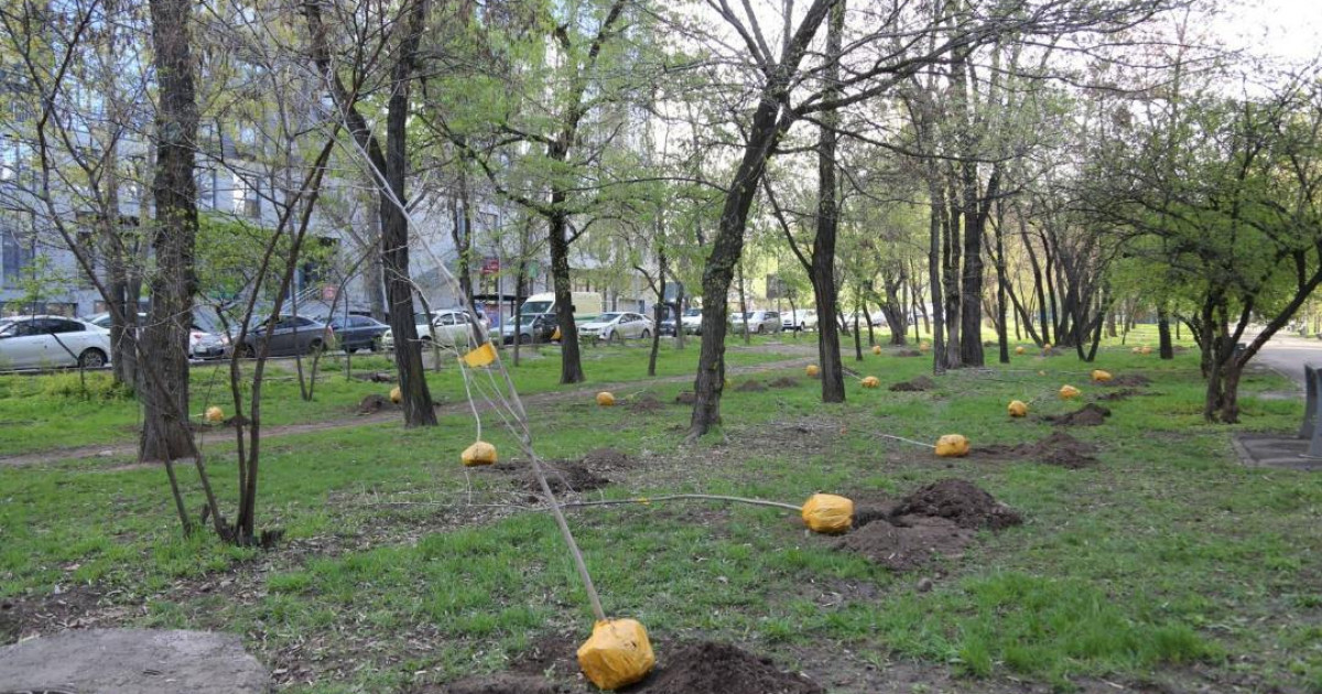 Алматыда «Таза Қазақстан» республикалық бағдарламасы аясында жұмыс жалғасуда