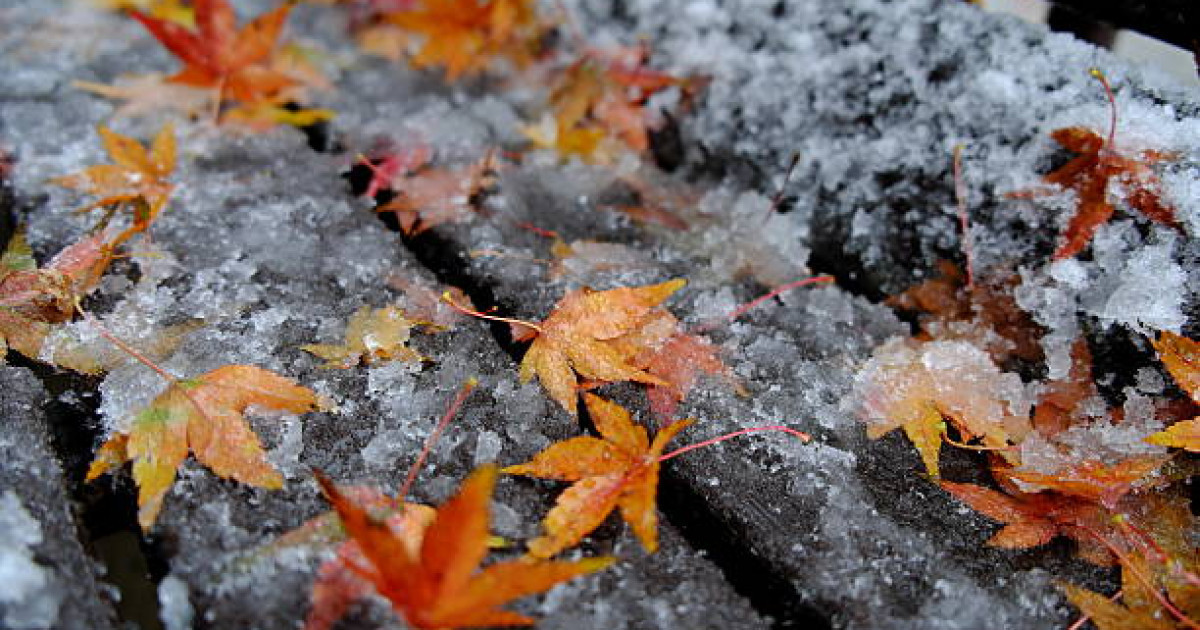 Алдағы үш күнге арналған ауа райы болжамы жарияланды