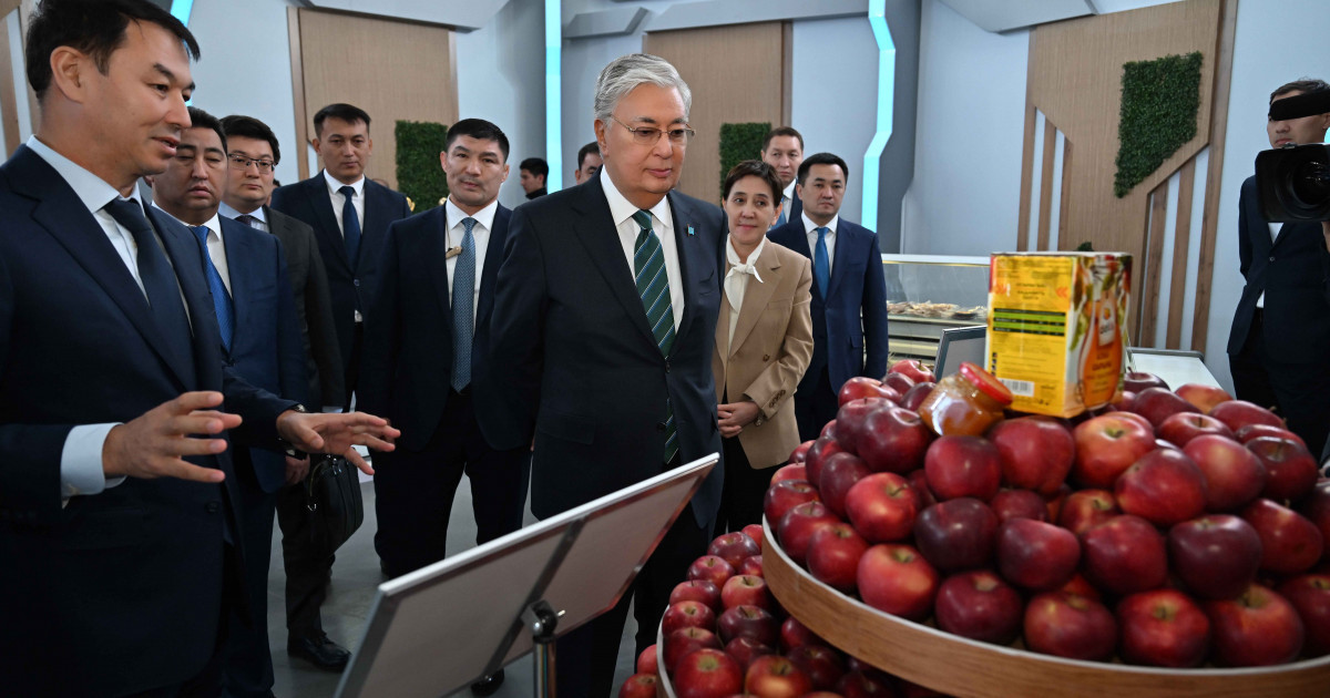 Тоқаев Түркістан облысындағы ауыл шаруашылығы өнімдерінің көрмесін аралады
