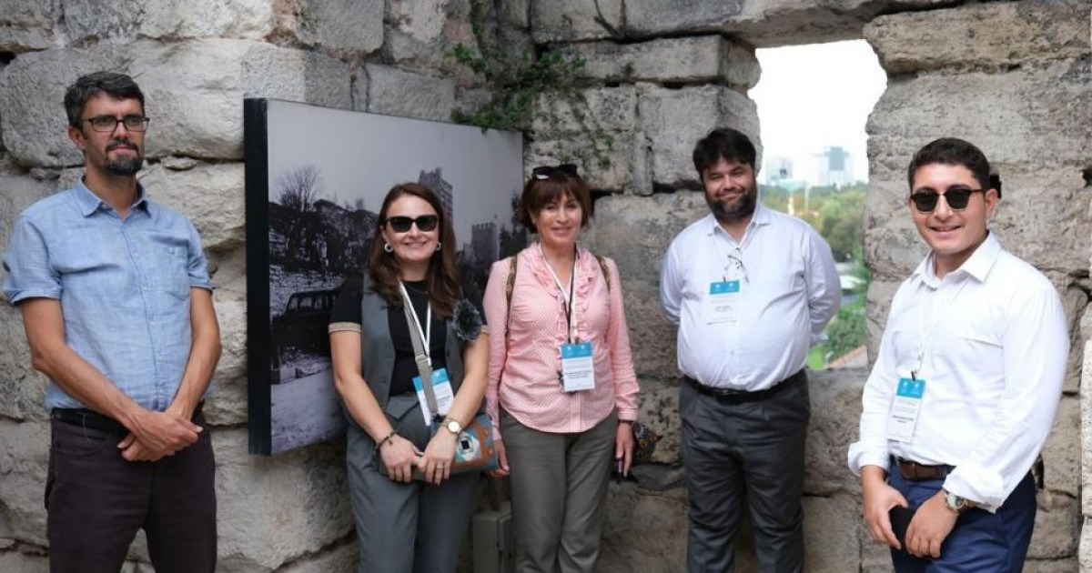 Түркі әлемін түлетер жоба