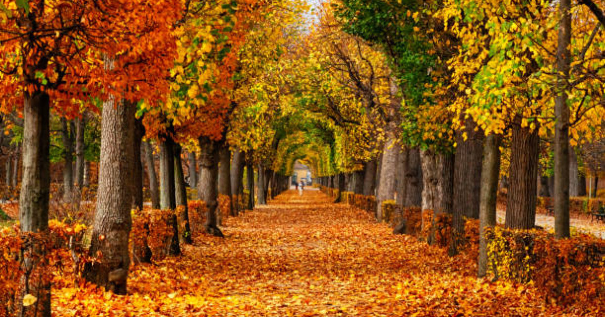 30 градус ыстық, жаңбыр, тұман: 5-7 қазанға ауа райы болжамы жарияланды