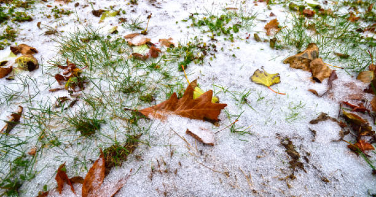 Алдағы күндері бірнеше өңірде қар жауады
