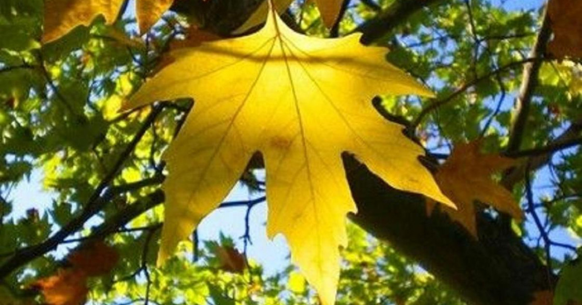 Елдің басым бөлігінде күн жылынады