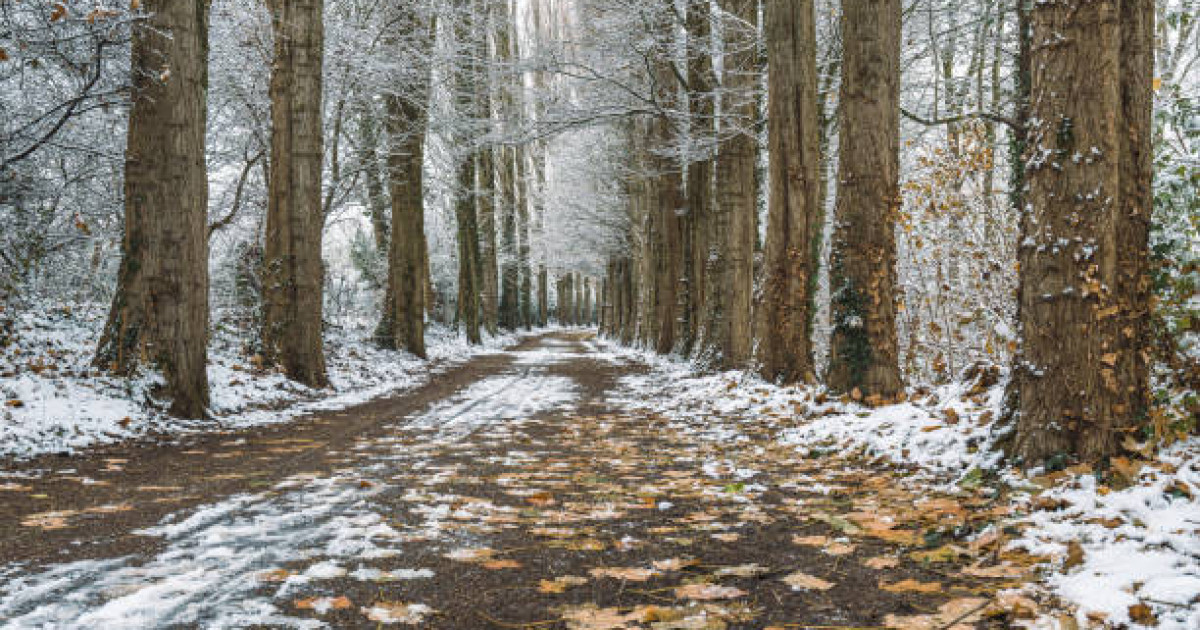Қараша  айында ауа райы қандай болады?