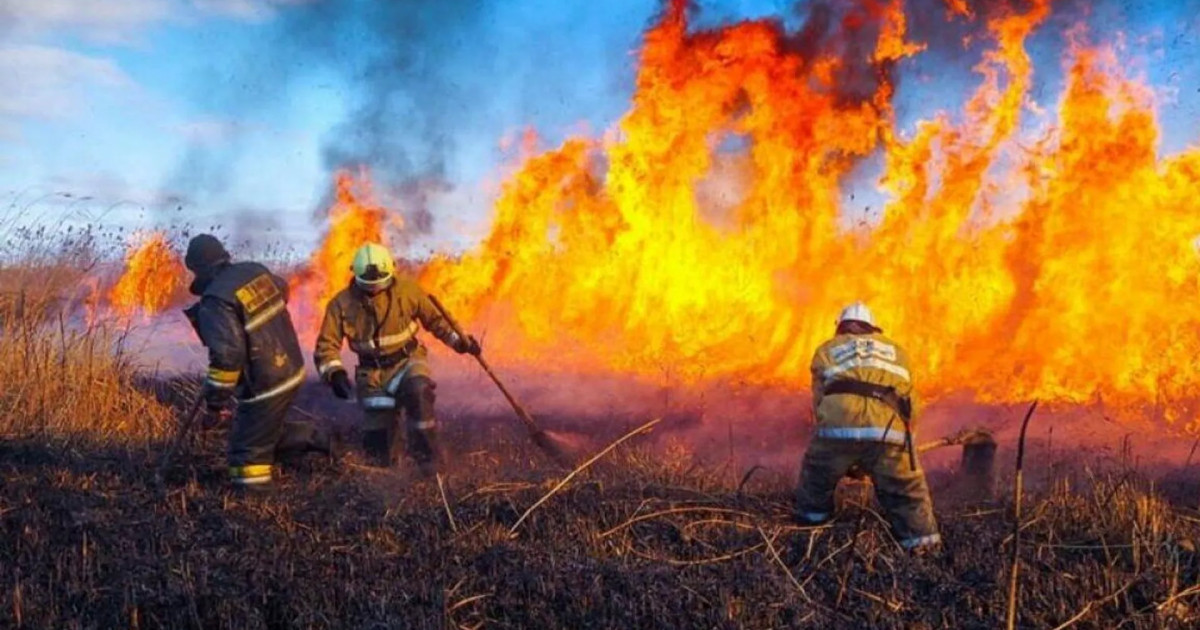 Павлодар облысының аумағындағы дала өрті толықтай оқшауланды